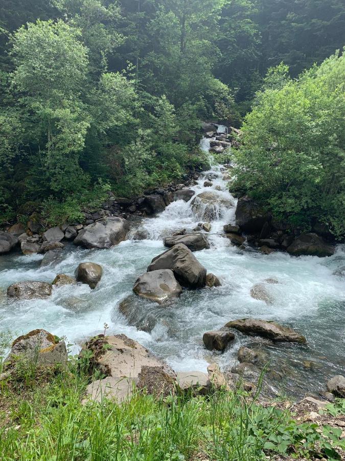 The River Pearl Val d'Illiez Bagian luar foto